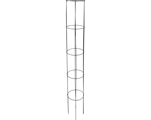 FLORASELF Plantensteun H 125 cm