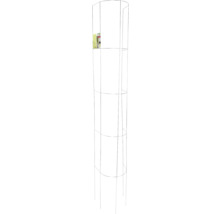 FLORASELF Plantensteun 120 x 30 cm