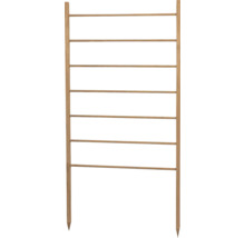 FLORASELF Plantensteun hout 60x120 cm