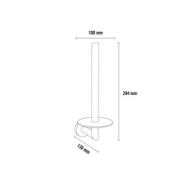 Technische tekening van een toiletpapierhouder met afmetingen van 100 mm, 284 mm en 136 mm.