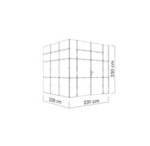 Technische tekening van een cabine met afmetingen: 229 centimeter, 231 centimeter en 230 centimeter.