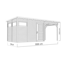 Afbeelding van een tuinhuis met afdak en de afmetingen 234 cm bij 559 cm met een hoogte van 232 cm.