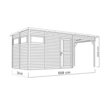 Illustratie van een tuinhuis met overkapping, afmetingen 234 x 559 x 232 centimeter.