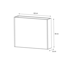 Illustratie van een plantenbak aanzicht met de afmetingen 100, 80 en 25 centimeter.