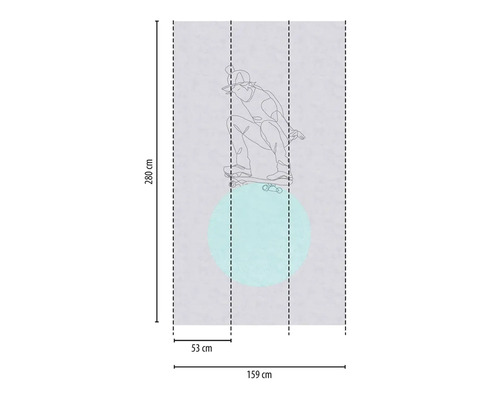 Fotobehang met skateboarder motief, 280 x 159 cm