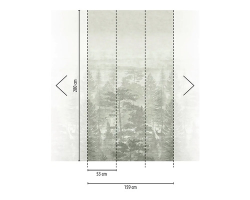 Fotobehang met bosmotief, afmetingen 280 bij 159 centimeter