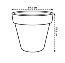 Afbeelding van een plantenbak met de afmetingen 59,1 cm breed en 53,6 cm hoog