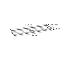 Illustratie van een plantenschaal met de afmetingen 37,4 cm lengte, 14,7 cm breedte en 2,3 cm hoogte