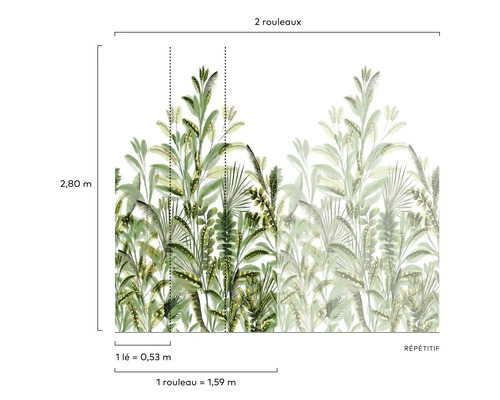 Afbeelding van de afmetingen van een fotobehang met plantenmotieven.