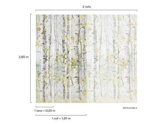 Behang met berkenbosmotief voor wanddecoratie