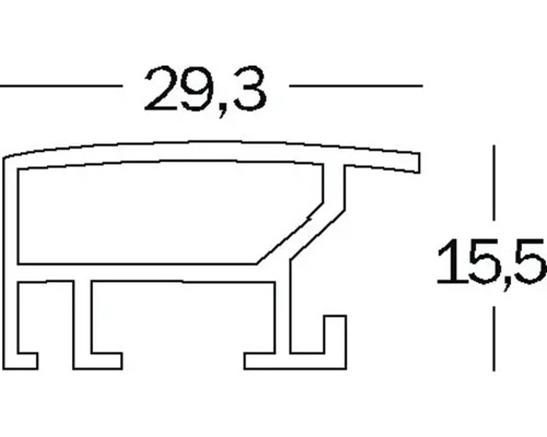 Technische tekening van een profiel met afmetingen 29,3 en 15,5