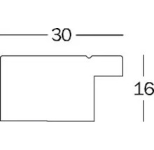 Technische tekening van een profiel met maatvoering 30 en 16