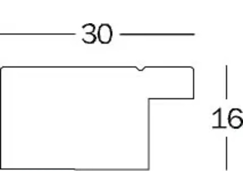 Technische tekening van een profiel met maatvoering 30 en 16