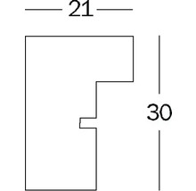 Afmetingen profiel: 21 x 30 millimeter
