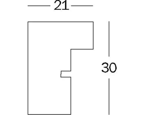 Afmetingen profiel: 21 x 30 millimeter