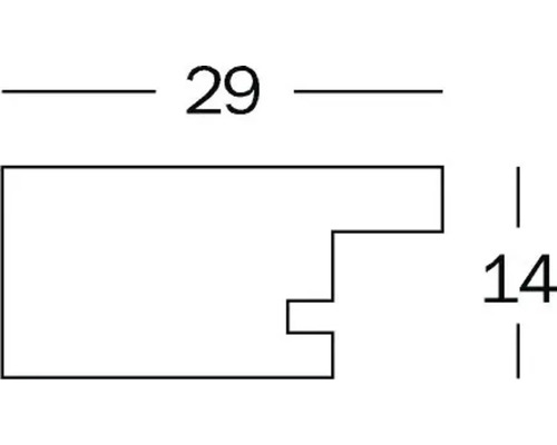 Technische tekening van een profiel met de afmetingen 29 en 14.