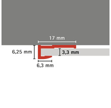 Profielstrip met de afmetingen 17 mm, 6,25 mm, 6,3 mm en 3,3 mm.