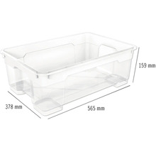 Transparante opbergbox met afmetingen 565 mm lengte, 378 mm breedte en 159 mm hoogte.