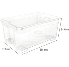 Opbergbox van kunststof met afmetingen 565 mm x 378 mm x 249 mm