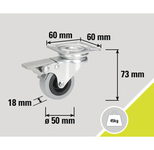 Zwenkwiel met rem en maataanduidingen: 60 mm, 73 mm, 18 mm, diameter 50 mm, 45 kg draagvermogen
