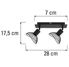 Afmetingen van een zwarte plafondlamp met twee spots