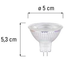 MR16 lamp met een diameter van 5 centimeter en een hoogte van 5,3 centimeter