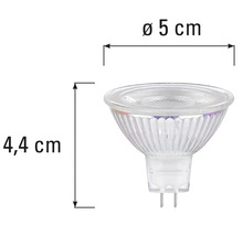 MR16 lamp met afmetingen van 5 centimeter diameter en 4,4 centimeter lengte