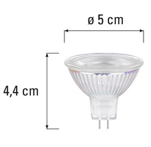 MR16-lamp met afmetingen 4,4 cm hoogte en 5 cm diameter