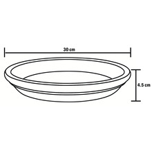 Afbeelding van een schets van een plantenbak met afmetingen van 30 cm breed en 4,5 cm hoog.