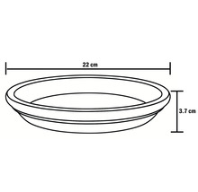 Afbeelding van een onderschaal met de afmetingen 22 cm breed en 3,7 cm hoog.