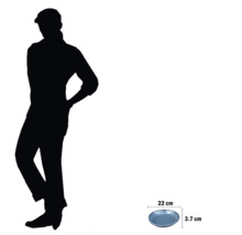 Decoratieve schaal met een diameter van 22 centimeter en een hoogte van 3,7 centimeter