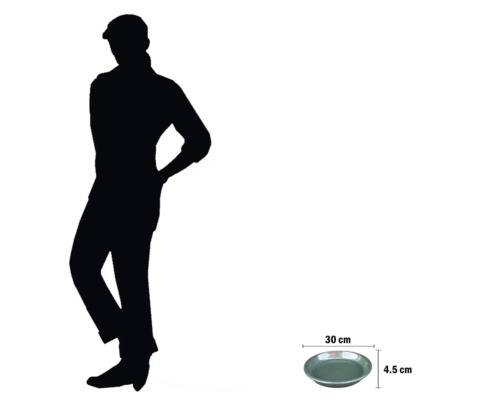 Decoratieve schaal, diameter 30 cm, hoogte 4,5 cm