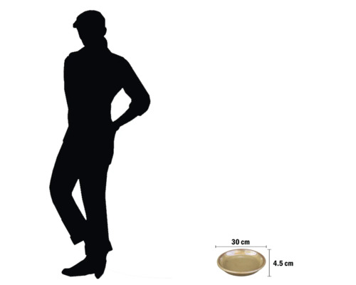 Schaal, diameter 30 cm, hoogte 4,5 cm, met maatindicatie