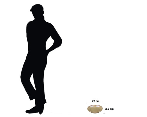 Decoratieve schaal met de afmetingen 22 centimeter bij 3,7 centimeter.