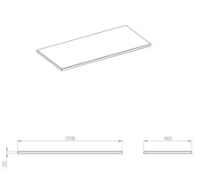 Schets van een werkblad met de afmetingen 1008 mm lengte, 460 mm breedte en 20 mm dikte.