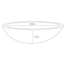 Schets van een plantenschaal met afmetingen 42 cm diameter en 12,5 cm hoogte.