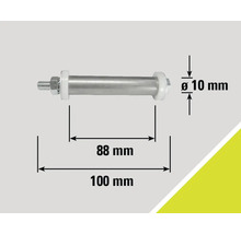 Afgebeeld is een bout met een lengte van 100 millimeter en een diameter van 10 millimeter.