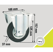 Zwenkwiel met afmetingen 100 mm x 157 mm en een draagvermogen van 100 kg