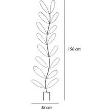 Afbeelding van een metalen plant met een hoogte van 150 cm en een breedte van 38 cm.