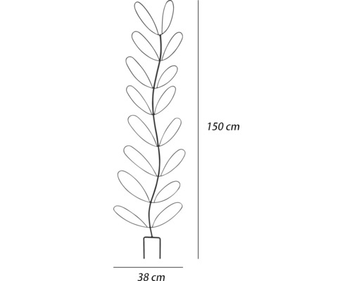 Afbeelding van een metalen plant met een hoogte van 150 cm en een breedte van 38 cm.