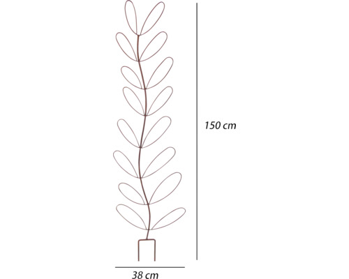 Metalen plantensteun, 150 cm hoog en 38 cm breed