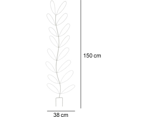 Illustratie van plantensteun met afmetingen 150 x 38 centimeter