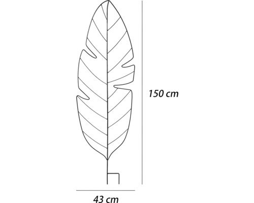 Afmetingen van een metalen plantensteun in bladvorm: 150 cm hoog en 43 cm breed