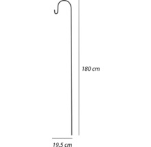 Metalen plantenhaak met afmetingen van 180 cm hoog en 19,5 cm breed