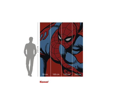 Komar muurschildering met Spider-Man motief