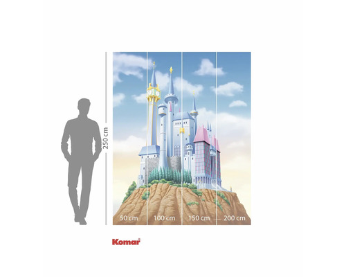 Fotobehang met kasteelmotief, afmetingen 250 x 200 cm