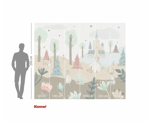 Fotobehang met een ontwerp uit de film Frozen, met bomen, bloemen, figuren en een kasteel