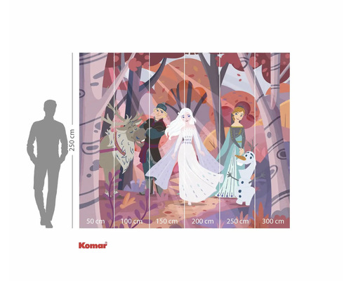 Komar fotobehang met Frozen-motief en figuren in een bos, afmetingen 250 cm hoog bij 300 cm breed