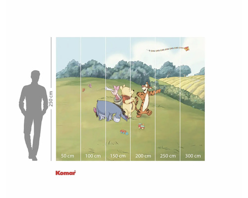 Winnie de Poeh en zijn vrienden op een fotobehang met maatvoering