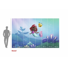 Komar muurschildering Little Mermaid met zeemeermin en vis in het water, 250 cm hoog en 400 cm breed
